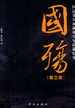 国殇-国民党正面战场空军抗战纪实