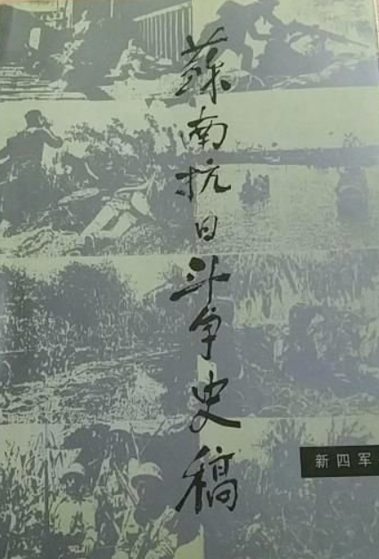新四军丛书：苏南抗日斗争史稿