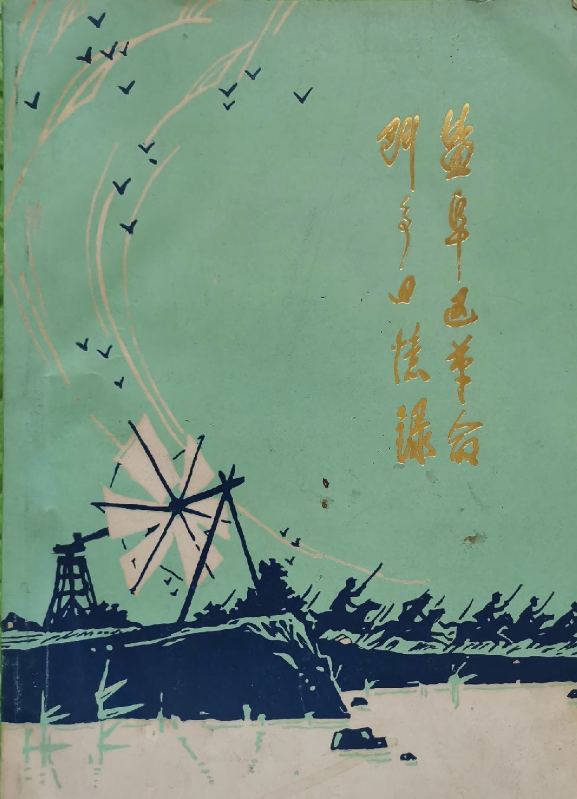 盐阜区革命斗争回忆录