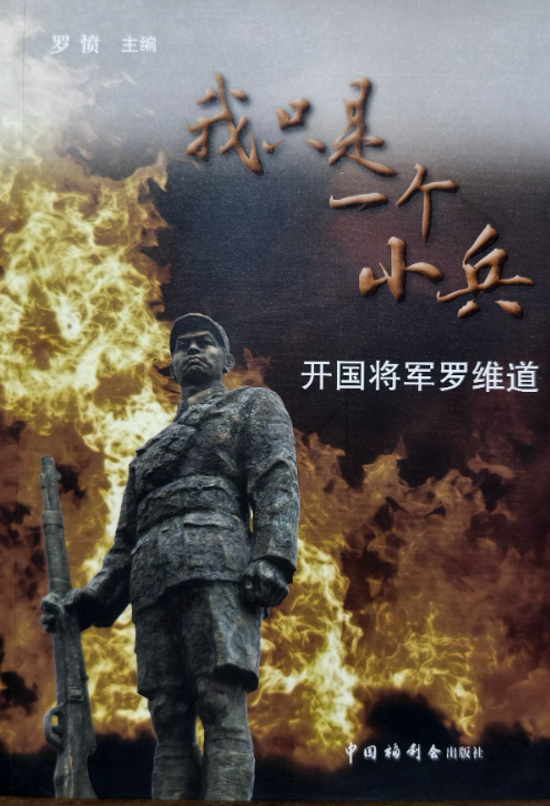 我只是一个小兵: 开国将军罗维道