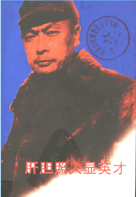 肝胆照人显英才