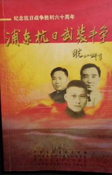 浦东抗日武装斗争: 纪念抗日战争胜利六十周年