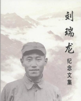 刘瑞龙纪念文集(4)