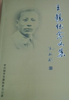 王龙纪念文集