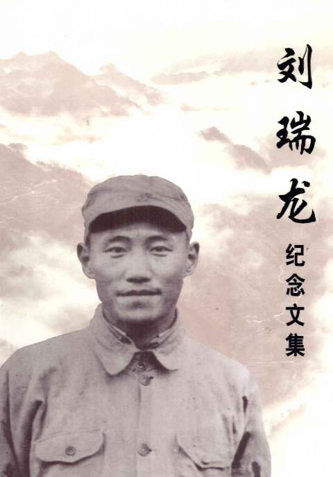 刘瑞龙纪念文集(纪念文集)