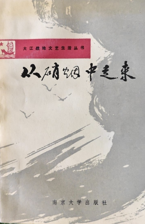 大江战地文艺生活丛书之一：从硝烟中走来