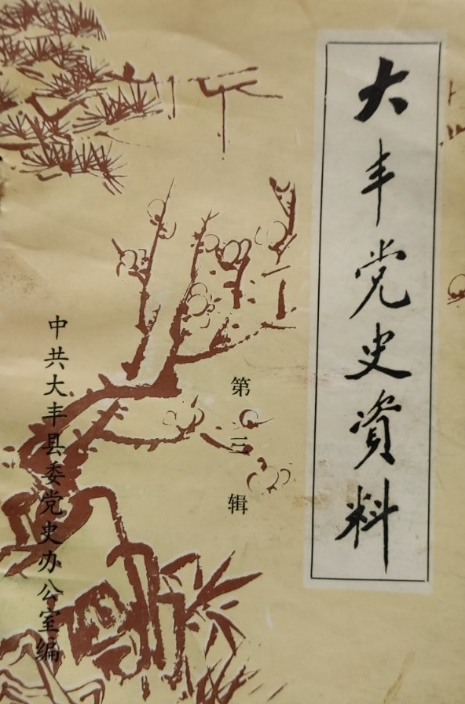 大丰党史资料(第三辑)
