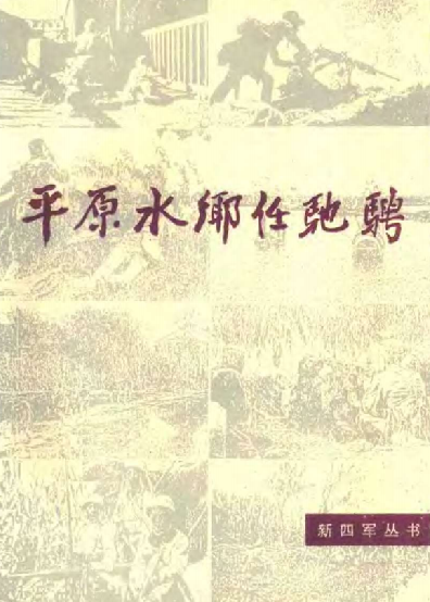 新四军丛书：平原水乡任驰骋
