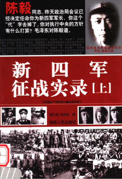 新四军征战实录