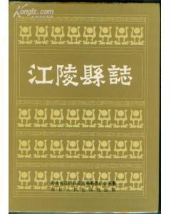 《忠魂: 江陵县党史人物传(一)》