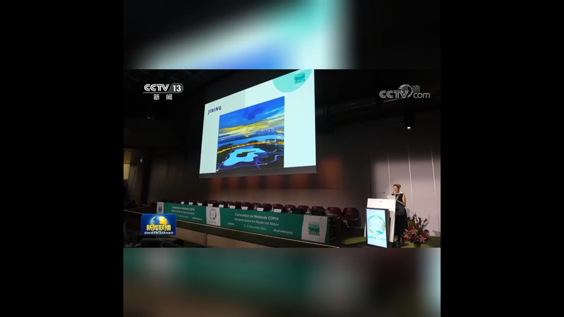 湿地绘就城市底色！央视解读盐城生态发展密码