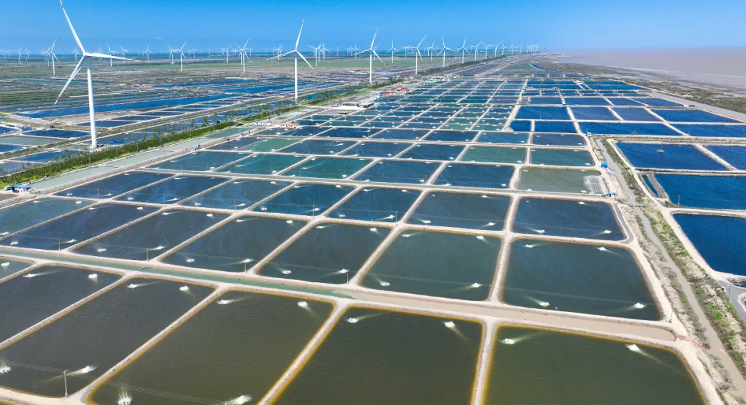 盐城，劈浪向深蓝